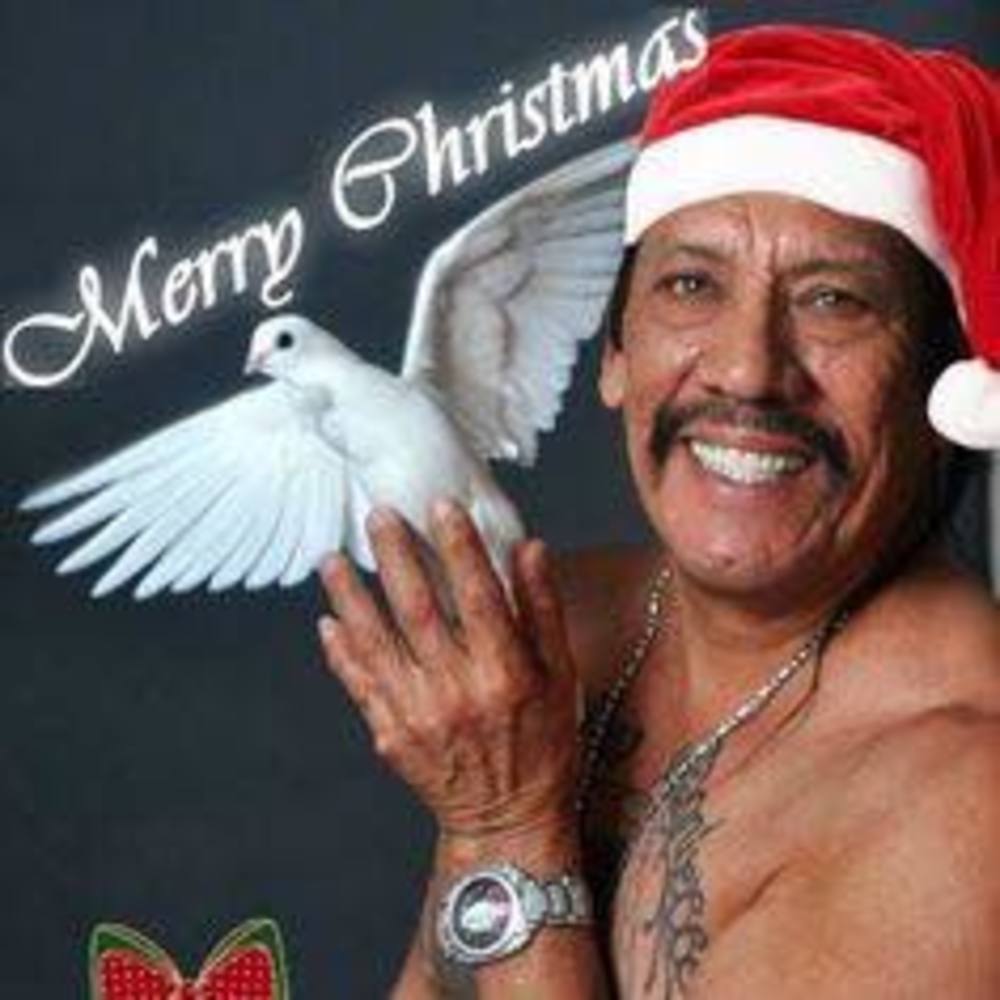 Meet your Posher, Sigi